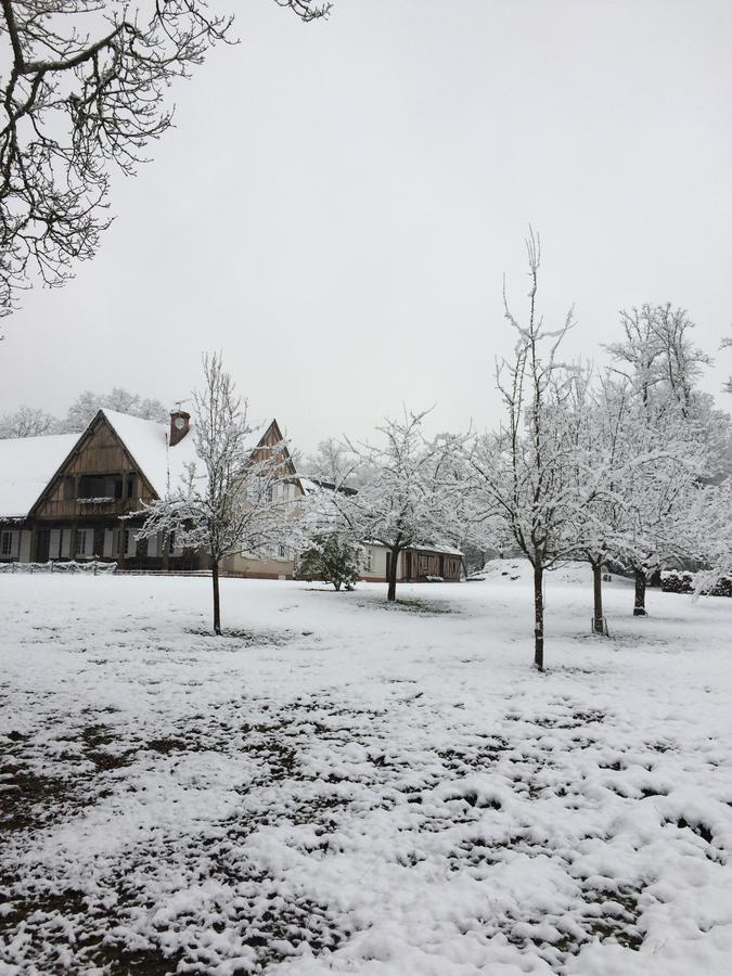 Bed & Breakfast Les Vieux Guays Cerdon (Loiret)